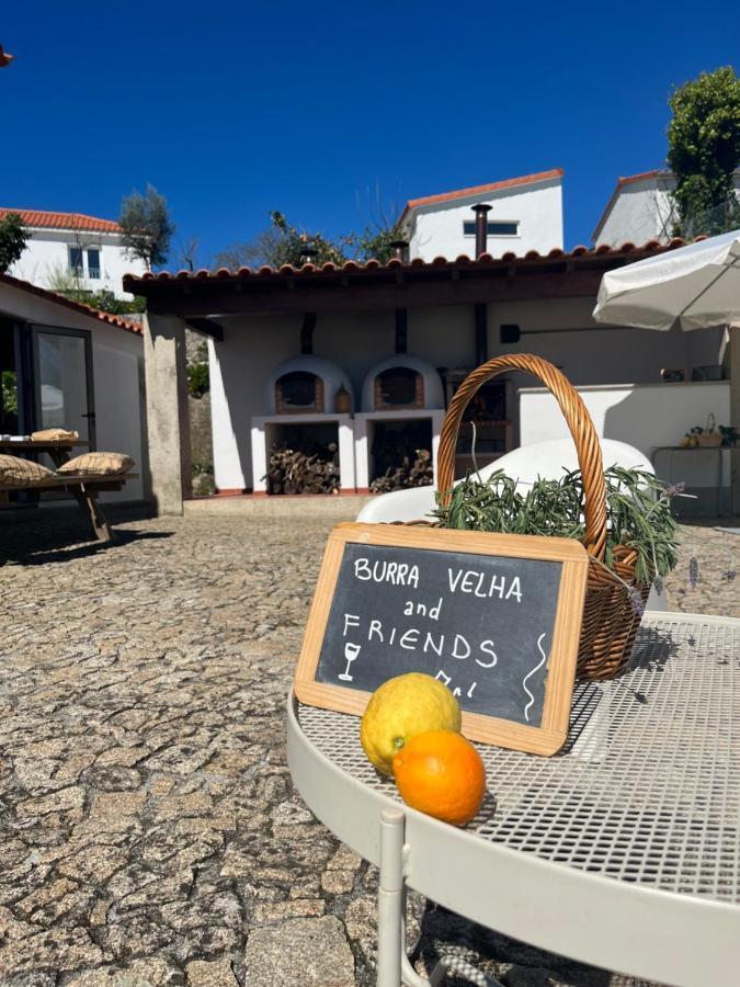 Vila Burra Velha - Private House Celorico De Basto Exteriér fotografie
